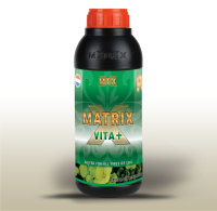 Matrix MTX Vita+ 1 L