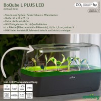 Romberg BoQube Gewächshaus L plus LED anthrazit-grün