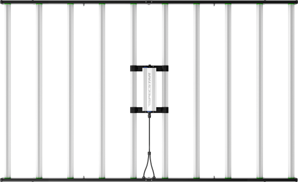 SPECSTAR 1000 W LED Vollspektrum Grow