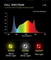 Flexstar x Nito PRO 430 W 3.1 LED Samsung 301H EVO 2 + Osram 660 NM